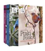 Ptaki_Polski.jpg